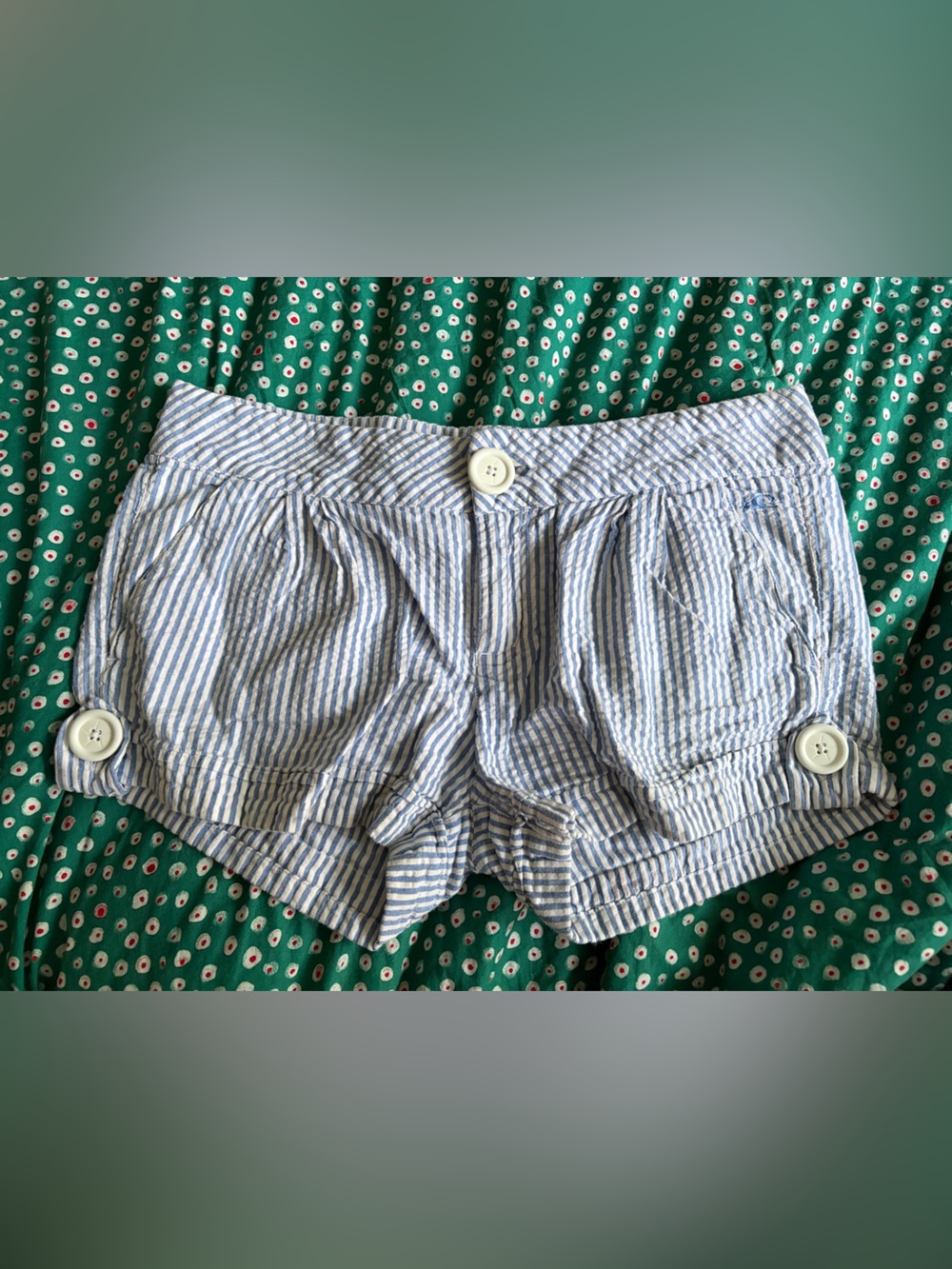 O'Neill Blue and White Striped Seersucker Shorts size 5 low rise Y2K